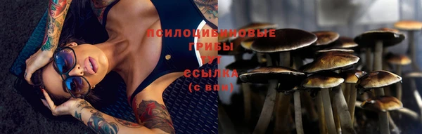 шишки Алексеевка