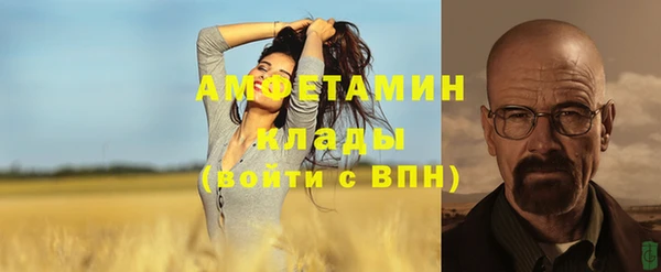 apvp Алзамай