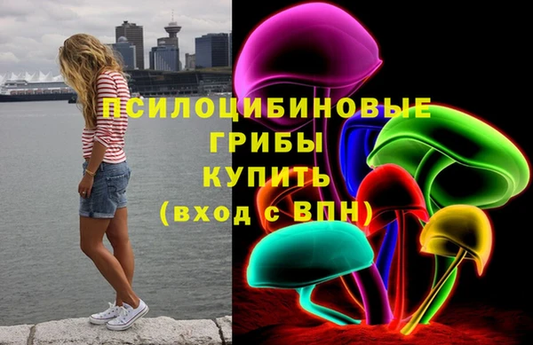 шишки Алексеевка