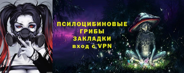 гидропоника Абаза