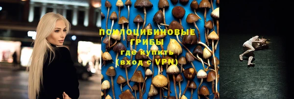 apvp Алзамай