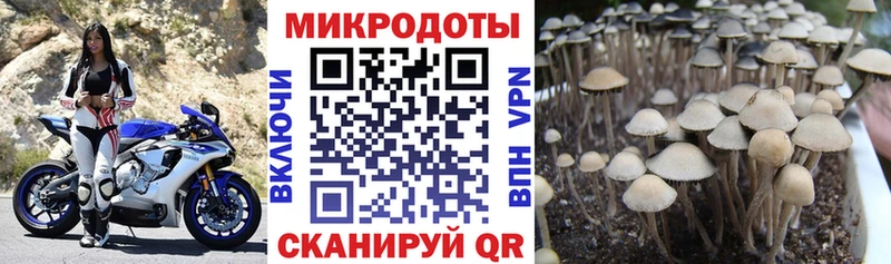 Галлюциногенные грибы MAGIC MUSHROOMS  что такое   mega ONION  Новая Усмань 